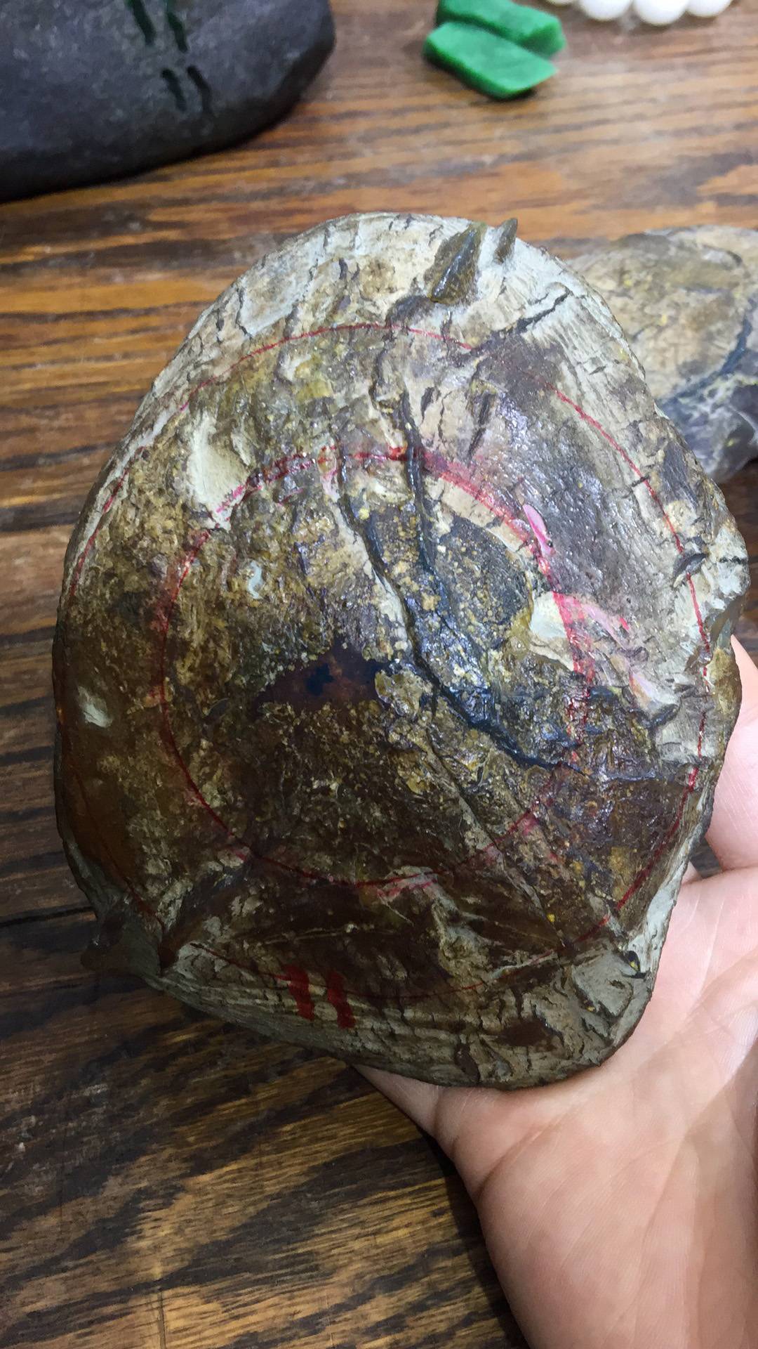 多米尼加蓝珀